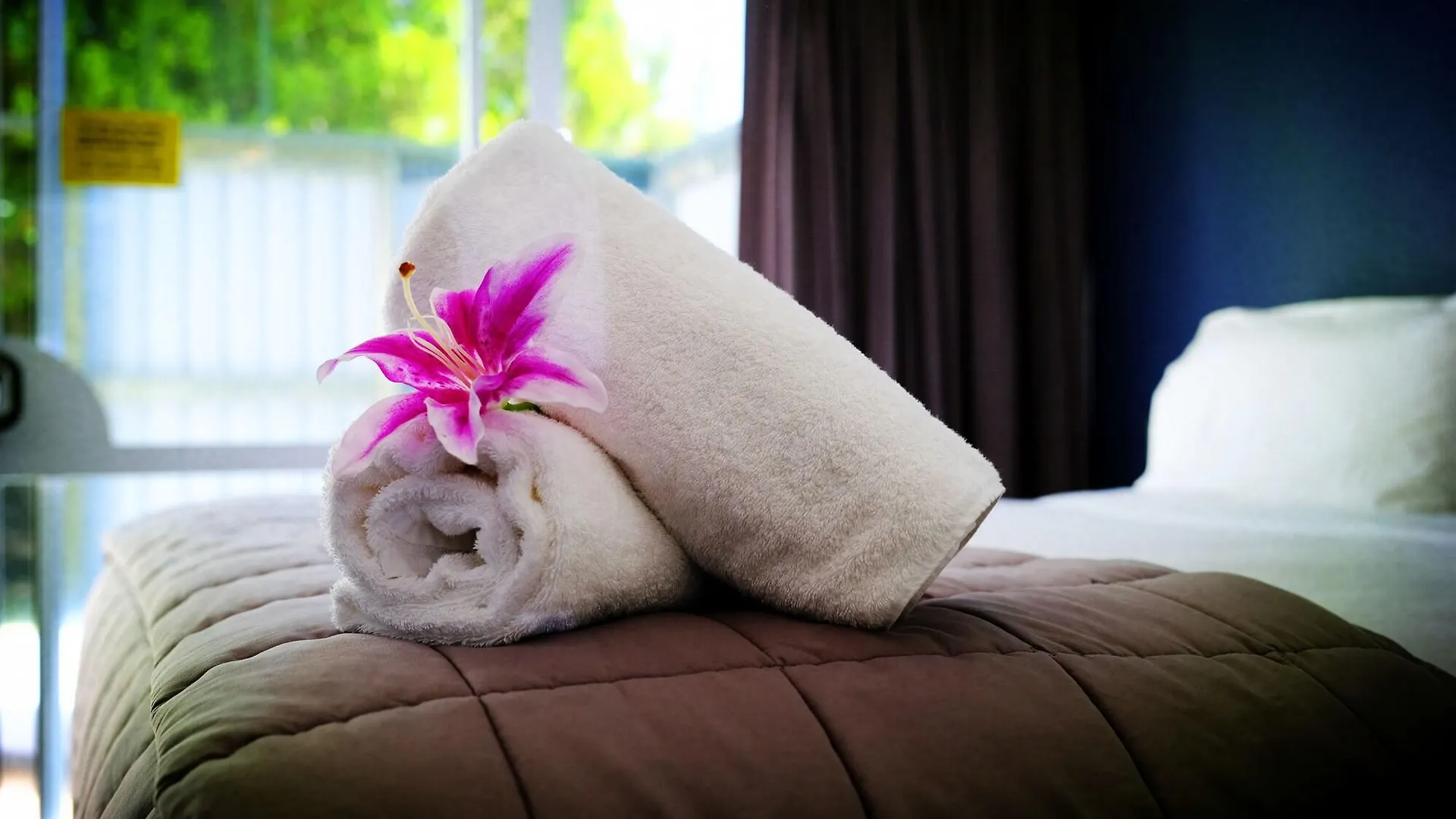 Alpin Motel & Conference Centre Rotorua