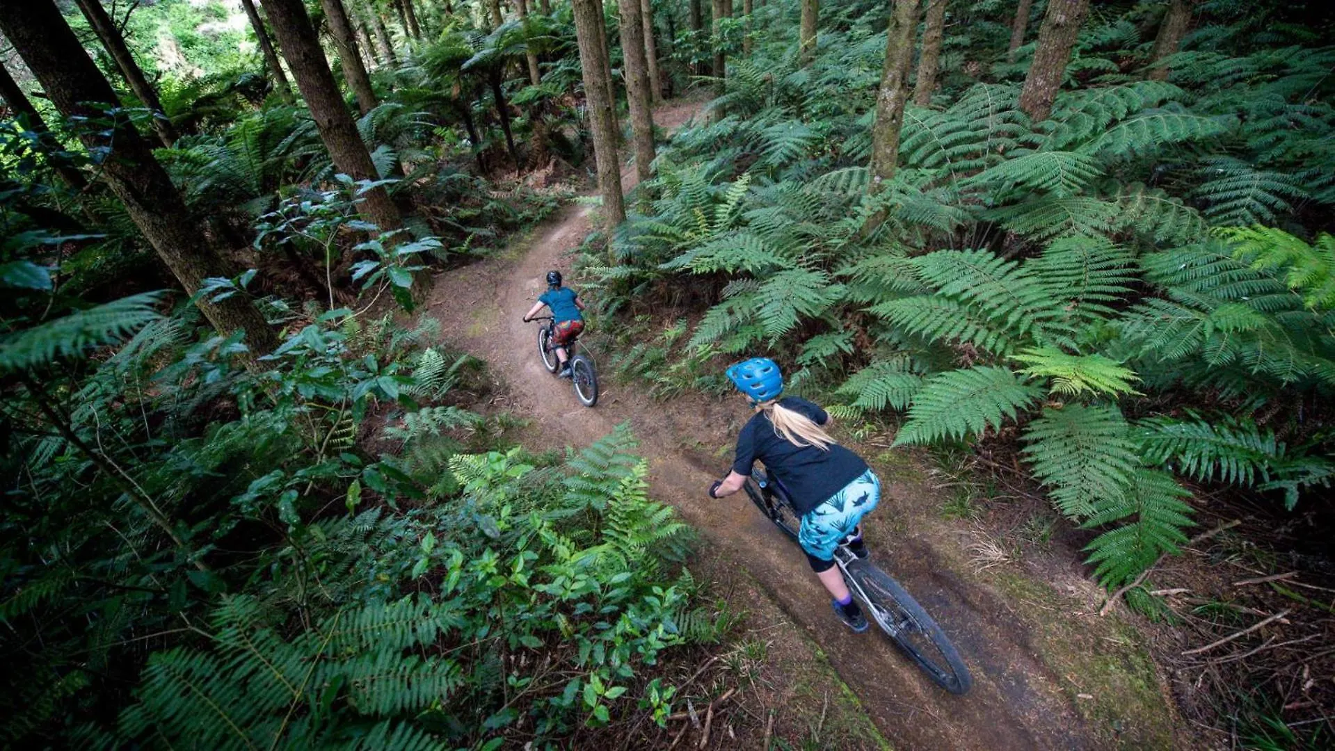 Alpin Motel & Conference Centre Rotorua 4*,