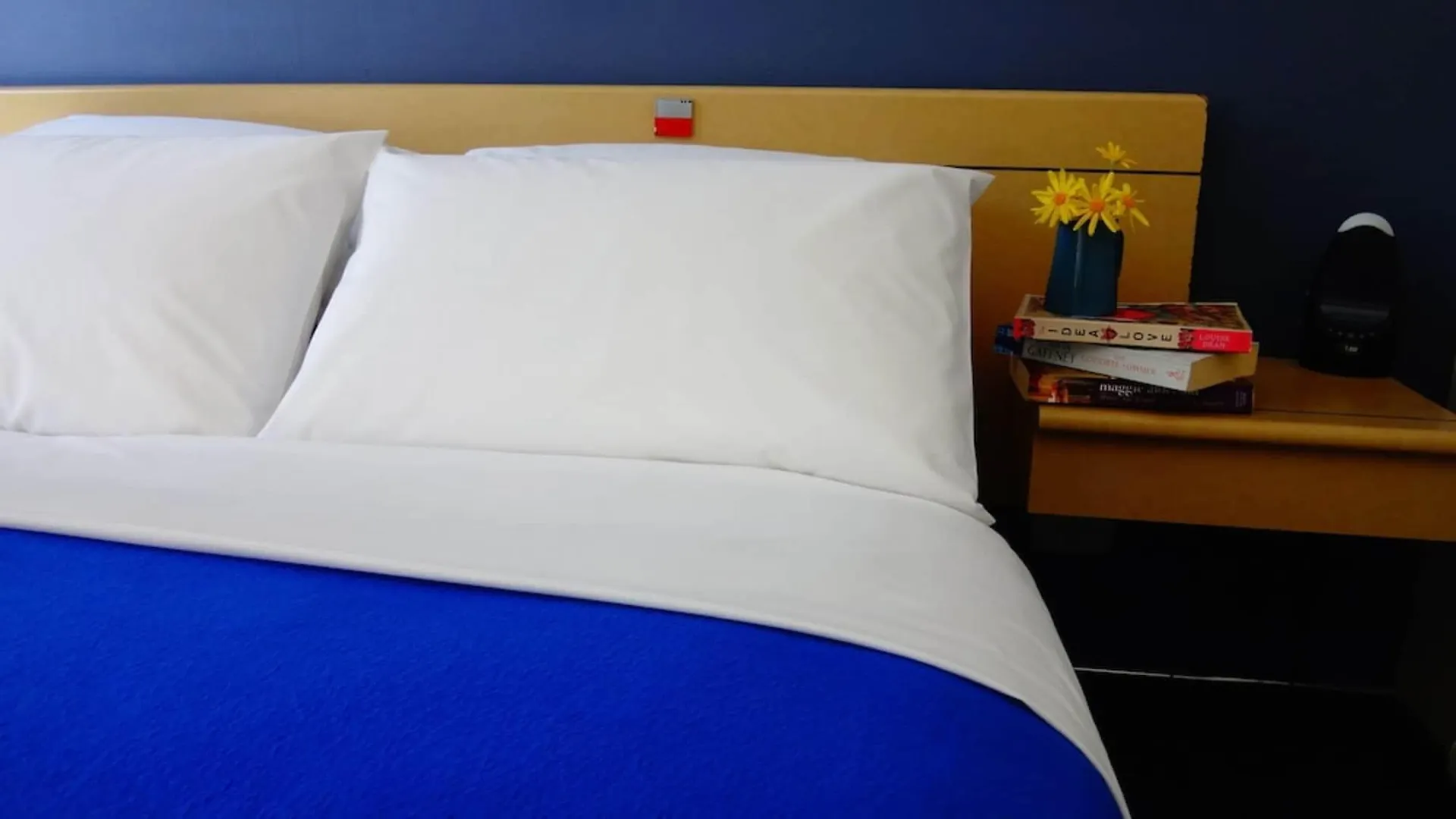 Alpin Motel & Conference Centre Rotorua 4*,